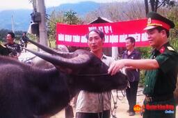 TRANG TRUYỀN HÌNH QUÂN KHU 4 NGÀY 26-11-2018